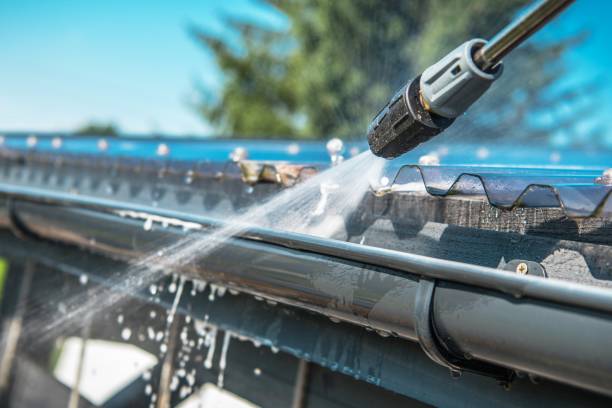 Best Pressure Washing Near Me  in Escobares, TX