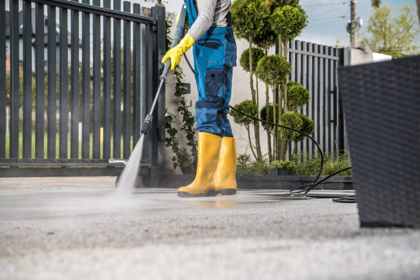 Best Affordable Pressure Washing  in Escobares, TX
