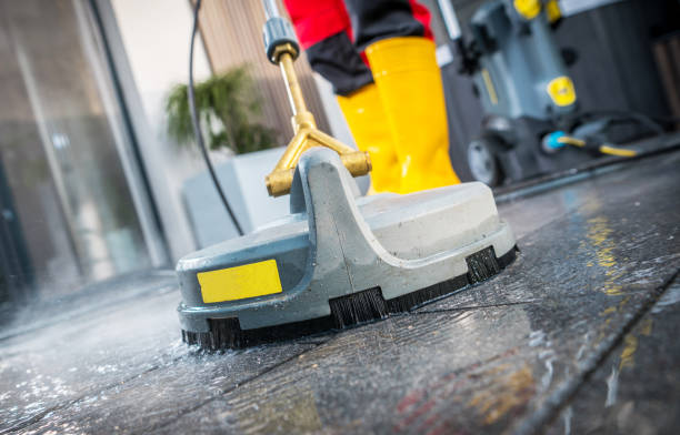 Best Roof Power Washing Services  in Escobares, TX